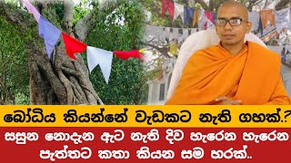 පක්ෂ නිල නම්බු නාම අදාළම නෑVenBalangoda Kassapa Thero [upl. by Parhe]