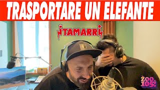 I TAMARRI  TRASPORTARE UN ELEFANTE [upl. by Rraval]