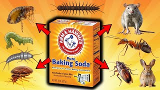 BAKING SODA Ultimate Pest Control For FLEAS MICE RATS COCKROACHES ANTS BEDBUGS CENTIPEDES [upl. by Publias]