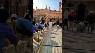 Mashallah 🕋 viral subscribe puri video jarur dekhen aur like and subscribe jarur Karen meerut [upl. by Nnarual]