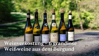 Weinverkostung  6 grandiose Weißweine aus dem Burgund in der Online Weinprobe [upl. by Felton816]