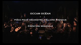 Eliane RADIGUE  OCCAM OCEAN  ONCEIM excerpt [upl. by Liagaba241]