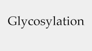 How to Pronounce Glycosylation [upl. by Wilton294]