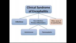 Autoimmune Encephalopathies [upl. by Yssirhc]