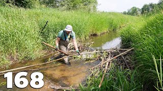 Manual Beaver Dam Removal No168  Green Spring [upl. by Solracesoj]