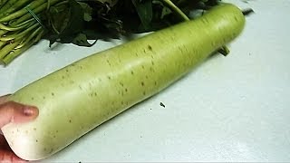 Cutting and Cooking Bottle Gourd or White Squash [upl. by Marcelle270]