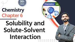 Chemistry Class 9 Chapter 6  Class 9 Chemistry Chapter 6  Solubility amp Solute Solvent Interaction [upl. by Akenna]