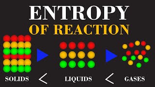 The Entropy of Reaction  Energy and Disorder  Chemical Thermodynamics Explained  ChemClarity [upl. by Stranger]