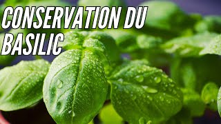 Comment Conserver le Basilic pendant plusieurs mois Tuto cuisine [upl. by Xavier582]