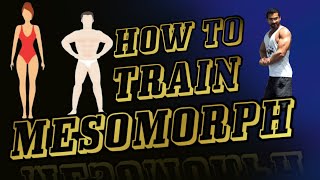 How To Train Mesomorph [upl. by Aurel]