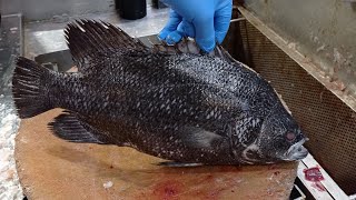 The Most Black Snapper Fish Cutting Skills [upl. by Em]