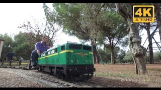 Trenes del Ferrocarril del Alamillo [upl. by Infeld872]