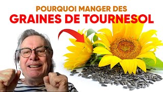 Pourquoi manger des graines de tournesol [upl. by Nyllij]