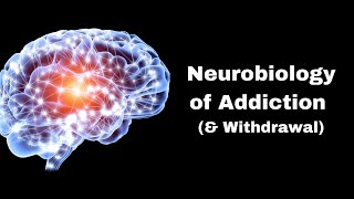 Neurobiology of Addiction  Quickstart Guide [upl. by Roeser]