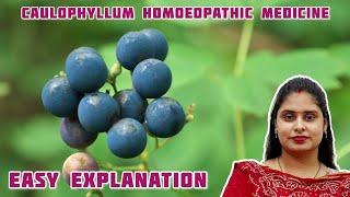 caulophyllum Homoeopathic medicine  Easy way to remember homoeopathic medicine [upl. by Bagley979]