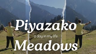 Piyazako Meadows ll Gabina Jabba ll Lalkoo ll Matta ll Swat [upl. by Edva792]