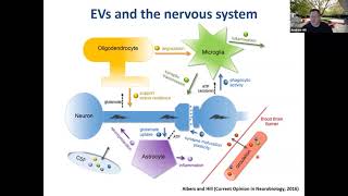 Extracellular vesicles misfolded proteins and neurodegenerative disease by Andy Hill [upl. by Leftwich]