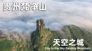 这里是现实版“天空之城”此生必爬的山峰中国梵净山，徒步7小时才能抵达山顶 Hiking on Mount Fanjing a total of seven kilometers [upl. by Sandberg174]