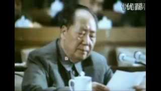 Mao Zedongs Speech at the 9th National Congress of the Communist Party of China [upl. by Gala]