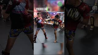 Muay Thai Training with Yoddecha Sityodtong  Countering Kick Catches whilst Fighting [upl. by Lodi]