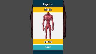 🇬🇧🇮🇹 flesh  carne  vocabulary builder  learn English  impariamo linglese [upl. by Ayatnwahs]