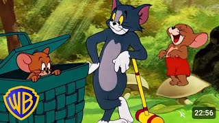 tom jerry tom jerry cartoon tomandjerry tom toys tome [upl. by Randolph]