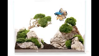 Aquascape for beginners  Bonsai Driftwood aquarium tree layout Tutorial 3 [upl. by Juanne]