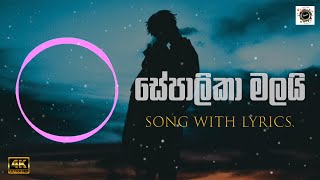 Sepalika Malai Cover  සේපාලිකා මලයි  Lyrics  Chanuka Moragoda [upl. by Briggs]