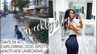 WEEKLY VLOG  full home workout exploring dog spots in ATL getting highlights LV unboxing etc [upl. by Humberto]