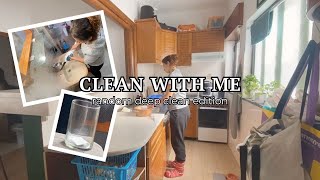 Cleaning My House amp Deep Cleaning a Room  Silent Clean With Me [upl. by Einafats]