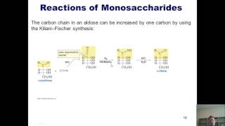 Chapter 22 – Carbohydrate Chemistry Part 3 of 7 [upl. by Eessac]