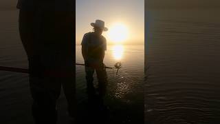 Catching Dungeness Crab Washington State [upl. by Orren784]