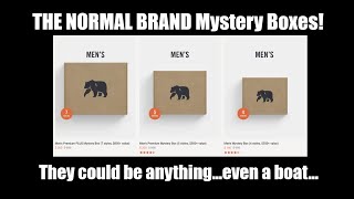 THE NORMAL BRAND Mystery Box  Unboxing and Try On  Puremeso Hoodie Bomber Jacket Flannel [upl. by Malonis352]