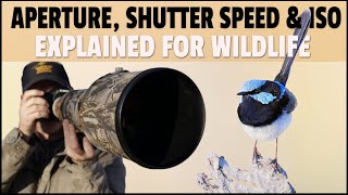 Aperture Shutter Speed amp ISO Explained for Wildlife Photography  What Settings to Use for Wildlife [upl. by Burner]