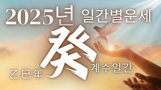 계절사주미리보는 운세2025년 계수癸일간 운세을사년임수 [upl. by Cad]