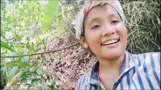 hillsvlog পাহাৰীয়া মন assam newvideo gohpur vlogger vlogvideo [upl. by Atsillak]