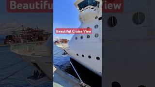 Amazing View of the Alaskan Cruise cruise alaskancruise viralshort viralreels [upl. by Llemar]