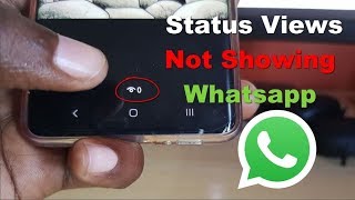 Status Views Not Showing Whatsapp Fix [upl. by Eldoria]