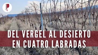 Del vergel al desierto en cuatro labradas [upl. by Gromme680]