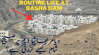 pakistan dams  indus river system  diamer bhasha dam  Tarbela dam  ​⁠hadichannel2 [upl. by Latsryk]