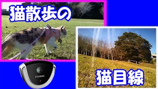 猫のお散歩をペット用ビデオカメラEYENIMALで猫目線 Cats eye level with Camera for pets EYENIMAL [upl. by Ylen12]