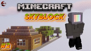 MİNECRAFT SKYBLOCK ama MİMAR TAKTİKLERİ 2  Ay Network [upl. by Gnaht]