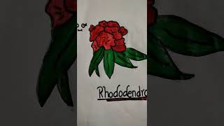 Our national flag and our national flower is rododendron keep [upl. by Galatia]