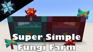 Super Simple Fungi Farm [upl. by Odlareg]