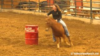 Mister Pony  running barrels bareback  Valley View Ranch [upl. by Hoseia]