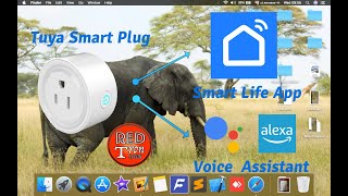 Tuya Smart Plug Configuration With Smart Life App and Voice Assistant [upl. by Nimzay]