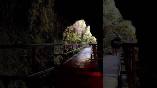 Lava tube chain of crater halemaumau crater steam vents holei sea arch [upl. by Pretrice]