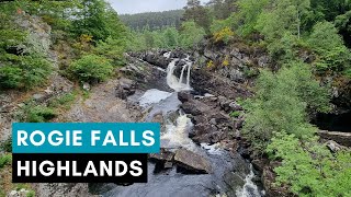 ROGIE FALLS  Must Visit WATERFALL On NC500  Scotland Walking Tour  4K  60FPS [upl. by Siobhan]