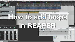 How to add loops in REAPER [upl. by Mechling866]