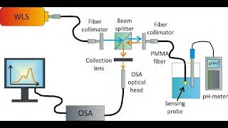 Plasmonic Nanocomposites for Optical Fiber pH Sensor [upl. by Willie]